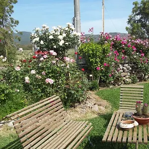 Il Vecchioliveto Di Ornella , Marrùbiu Italia